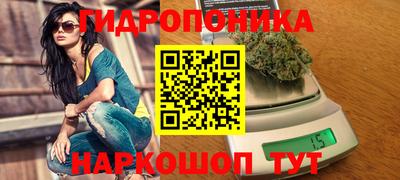 шишки Бийск