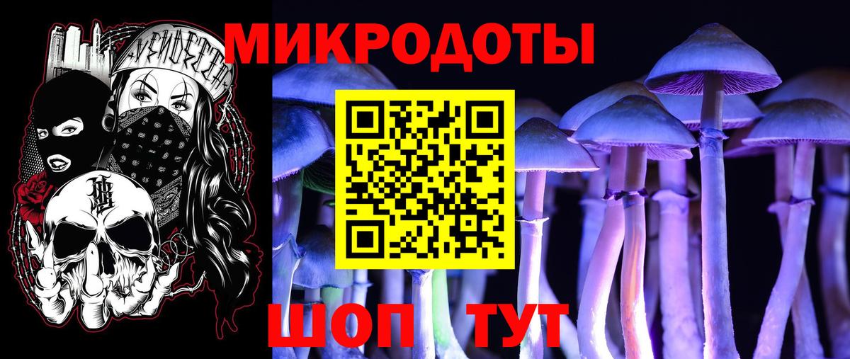 Богданович  Псилоцибиновые грибы GOLDEN TEACHER  Вход с VPN 